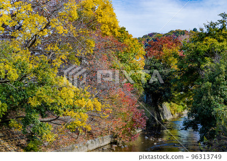 Koyoke along the Saho River that flows through Nara City Koyoke along the Saho River that flows through Nara City 96313749