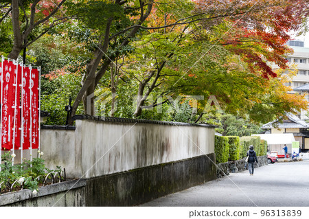 Tofuku-ji temple in autumn, autumn leaves along the approach, Kyoto City, Kyoto Prefecture 96313839