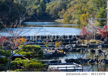Keihanna Commemorative Park Suikeien Terraced pond with maple leaves and cherry blossoms on both sides Keihanna Commemorative Park Suikeien Terraced pond with maple leaves and cherry blossoms on both sides 96313976
