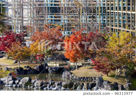 Keihanna Commemorative Park Colorful autumn leaves in front of the building surrounded by the Suikeien frame Keihanna Commemorative Park Colorful autumn leaves in front of the building surrounded by the Suikeien frame 96313977