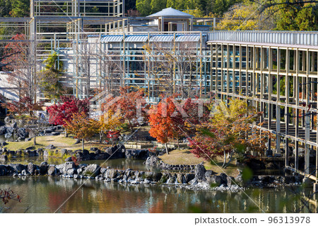 Keihanna Commemorative Park Suikeien pedestrian bridge and colorful autumn leaves in front of it Keihanna Commemorative Park Suikeien pedestrian bridge and colorful autumn leaves in front of it 96313978