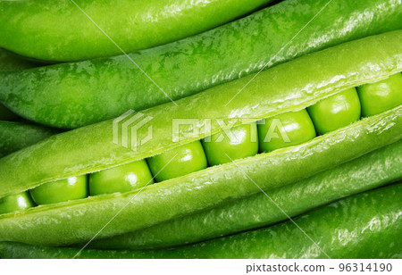Pea pod close-up Pea pod close-up 96314190
