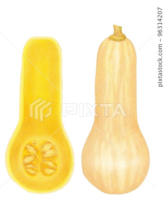 彩色鉛筆劃形狀獨特的南瓜 96314207