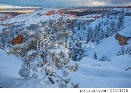 Winter Bryce 96315616