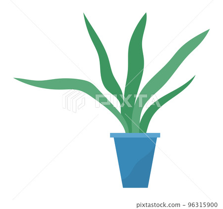 Decorative green plant with long leaves in ceramic pot, pot with houseplant. Home interior plant 96315900