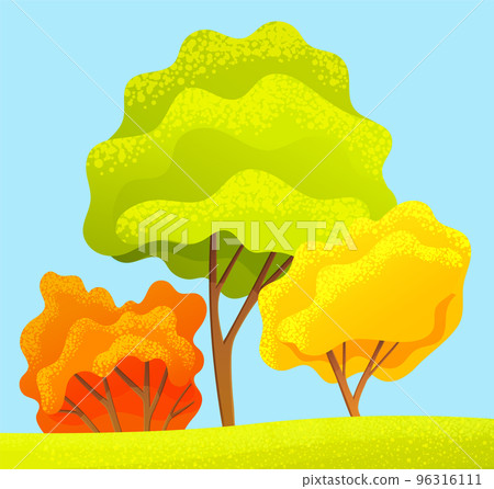 Autumn trees collection, orange bush and green, yellow trees with colorful crown at sky background 96316111