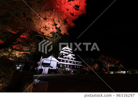 Okayama Castle Light Up 5719 96316297