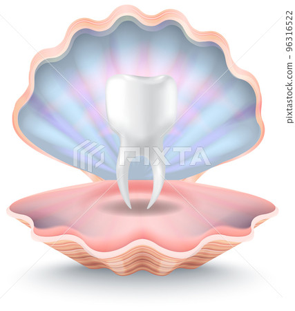 Single mesh human tooth inside shelf. Clam with molar like pearl. Dental care and hygiene symbol 96316522