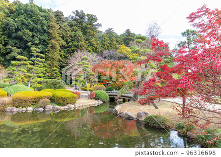 Autumn leaves in Kairakuen Park 96316698