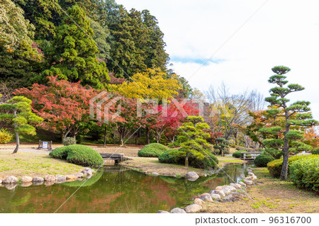 Autumn leaves in Kairakuen Park 96316700