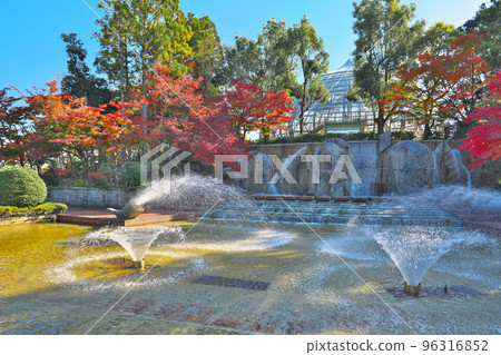 秋天深化的植物園 96316852