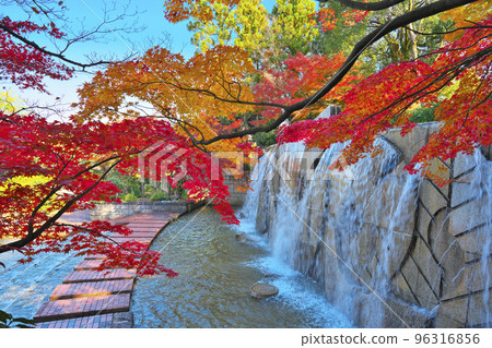 秋天深化的植物園 秋天深化的植物園 96316856