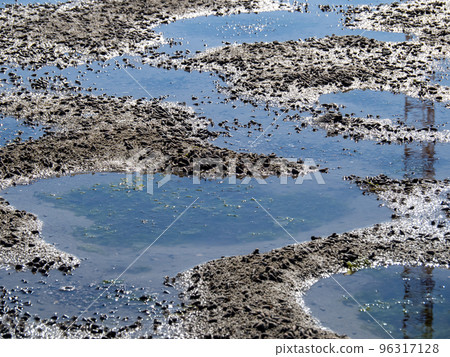 Wajiro tidal flat (the tidal flat that spreads out at the back of Hakata Bay). Higashi Ward, Fukuoka City. 96317128