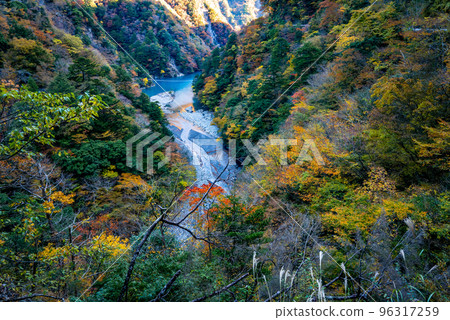 Autumn sized gorges 96317259