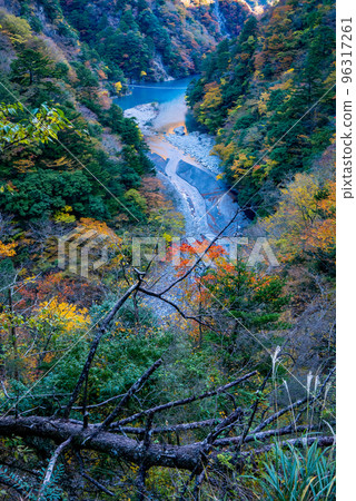 秋天大小的峽谷 96317261