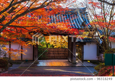 Autumn in the ancient capital of Kyoto World heritage Ryoan-ji temple gate with autumn leaves 96318249