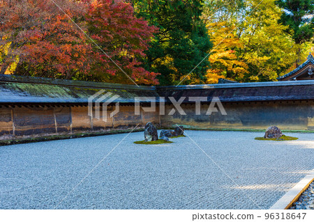 秋天在京都古都世界遺產 Ryoanji 岩石花園與秋葉 96318647