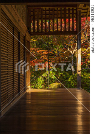 Autumn in the ancient capital of Kyoto World heritage Ryoanji temple with autumn leaves 96318923