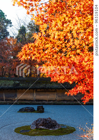 秋天在京都古都世界遺產 Ryoanji 岩石花園與秋葉 秋天在京都古都世界遺產 Ryoanji 岩石花園與秋葉 96319104