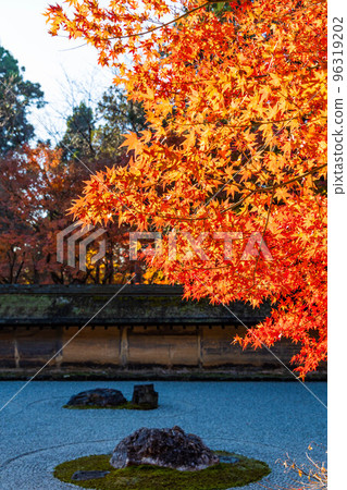 Autumn in the ancient capital of Kyoto World heritage Ryoanji rock garden with autumn leaves Autumn in the ancient capital of Kyoto World heritage Ryoanji rock garden with autumn leaves 96319202