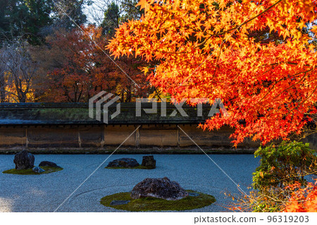 Autumn in the ancient capital of Kyoto World heritage Ryoanji rock garden with autumn leaves Autumn in the ancient capital of Kyoto World heritage Ryoanji rock garden with autumn leaves 96319203