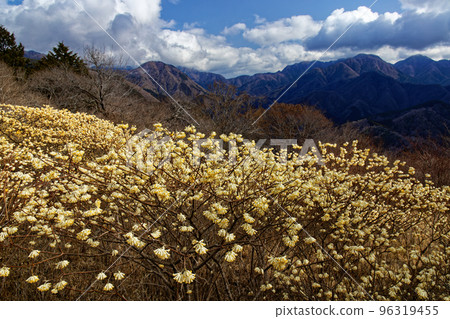 丹澤山脈和權現山脊線以及日野丸山脈的三又聚居地 丹澤山脈和權現山脊線以及日野丸山脈的三又聚居地 96319455