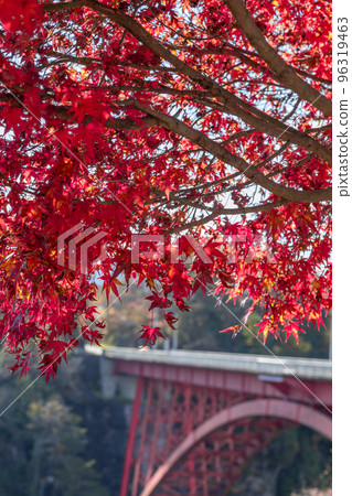 [Gifu Prefecture] Autumn leaves of Ena Gorge 96319463