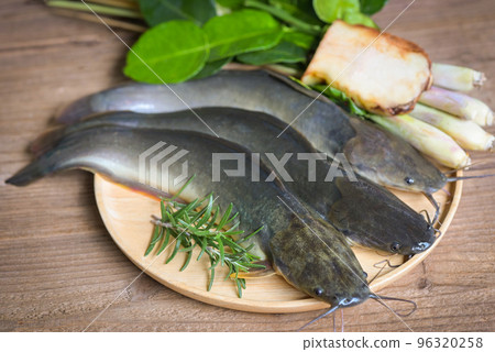 catfish on plate, fresh raw catfish freshwater fish, catfish for cooking food, fish with ingredients herb rosemary on wooden background catfish on plate, fresh raw catfish freshwater fish, catfish for cooking food, fish with ingredients herb rosemary on wooden background 96320258
