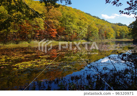 Yanohara Marsh fall Yanohara Marsh fall 96320971