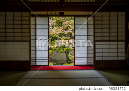 京都府京都市雲龍院秋天的泉龍寺 96321732