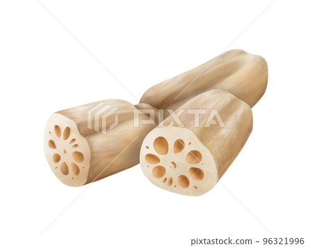 切蓮藕的寫實水彩插圖 切蓮藕的寫實水彩插圖 96321996