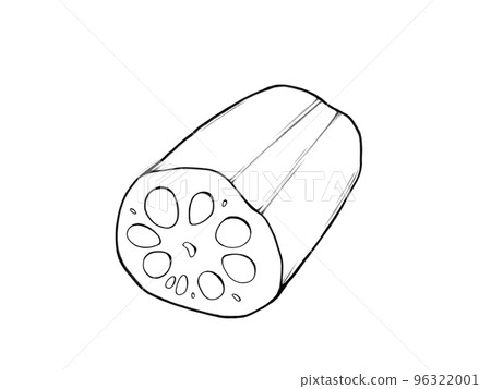 Simple line drawing illustration of cut lotus root 96322001