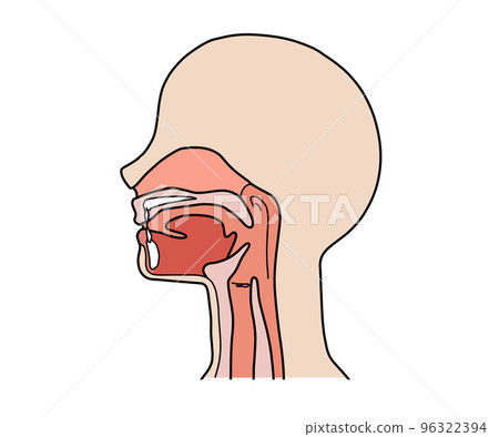 Throat cross section (without letters) 96322394