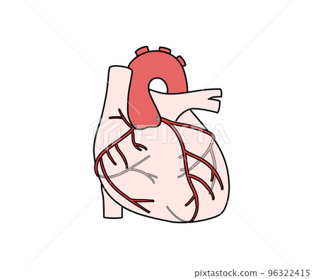 冠狀動脈 96322415