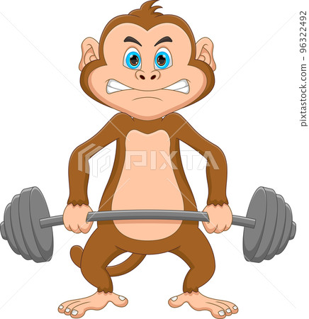 weightlifting monkey cartoon on white background 96322492
