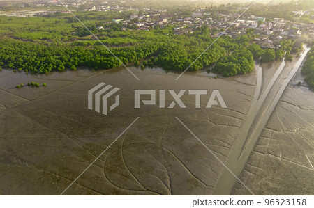 Green mangrove forest with seaside sustainable city. Mangrove ecosystem. Natural carbon sinks. Mangroves capture CO2 from atmosphere. Blue carbon ecosystems. Mangroves absorb carbon dioxide emissions. 96323158