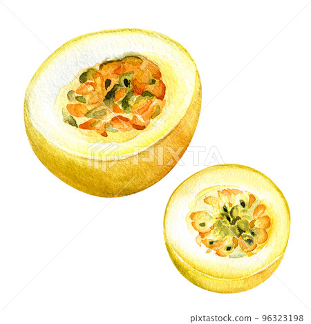 Yellow passion fruits watercolor illustration isolated on white background. Yellow passion fruits watercolor illustration isolated on white background. 96323198