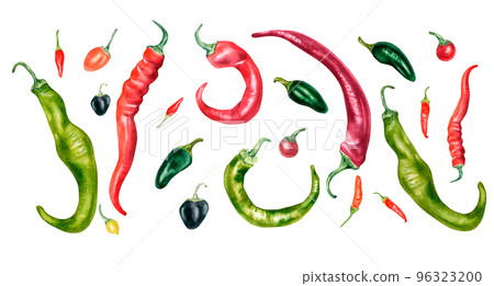 Set of various hot peppers watercolor illustration isolated on white. Set of various hot peppers watercolor illustration isolated on white. 96323200