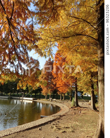 秋天的公園 秋天的公園 96323206
