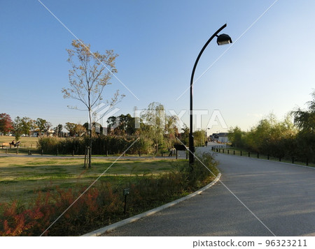 秋天的公園 秋天的公園 96323211