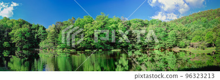 Fresh green of Sawaraike Pond (panorama) Fresh green of Sawaraike Pond (panorama) 96323213