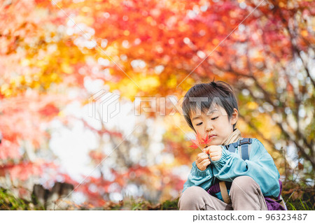 孩子們享受秋葉 孩子們享受秋葉 96323487