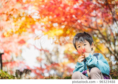 Children enjoying autumn leaves 96323488
