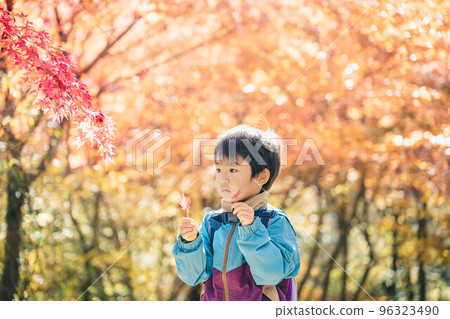 Children enjoying autumn leaves 96323490