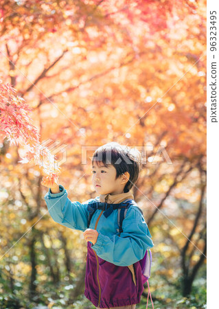 Children enjoying autumn leaves Children enjoying autumn leaves 96323495