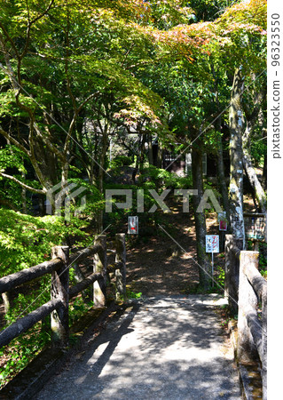 佐賀縣有田市龍門峽露營地周圍的風景 96323550