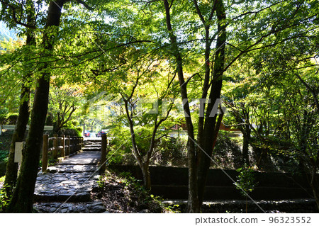 Scenery around the Ryumonkyo campsite in Arita, Saga Prefecture Scenery around the Ryumonkyo campsite in Arita, Saga Prefecture 96323552
