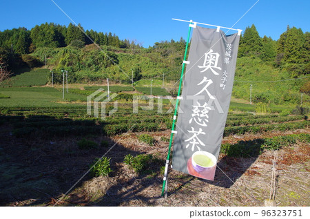 Daigo Town Okukuji Tea Field 96323751