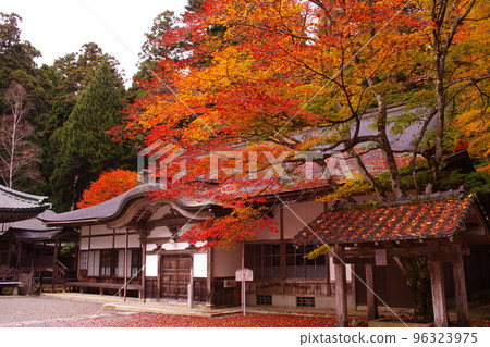 比叡山 橫河 楓樹 96323975