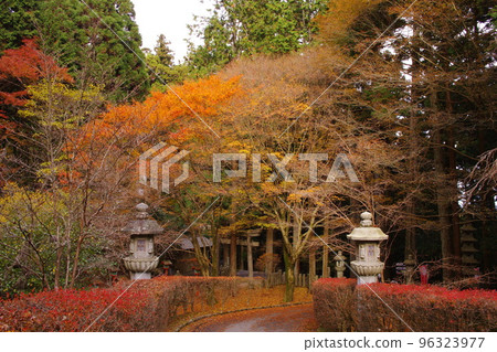 比叡山 延歷 楓樹 96323977